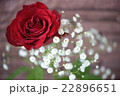 バラ バラ 22896651