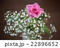 バラ バラ 22896652