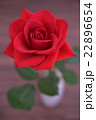 バラ バラ 22896654