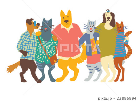 Cats and dogs pets group friends hugs isolate on 22896994