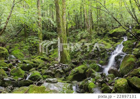 高知県津野町 四万十川源流点 高知県津野町 四万十川源流点 22897131