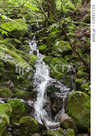 高知県津野町 四万十川源流点の写真素材