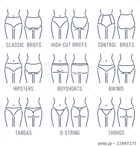 Types Women's Underwear: Over 402 Royalty-Free Licensable Stock