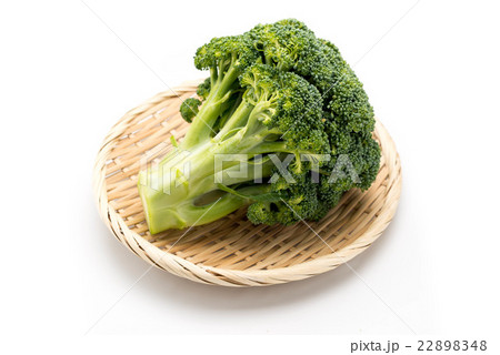 ブロッコリー 22898348