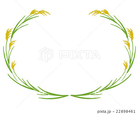 稲穂のイラスト素材