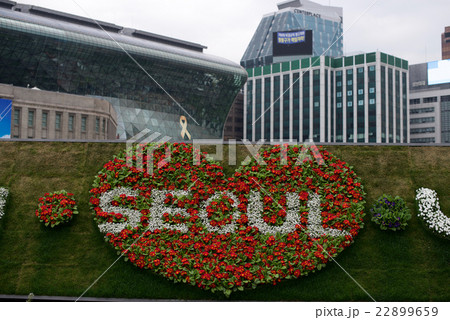 韓国旅行ソウルでの写真・景福宫の前 22899659