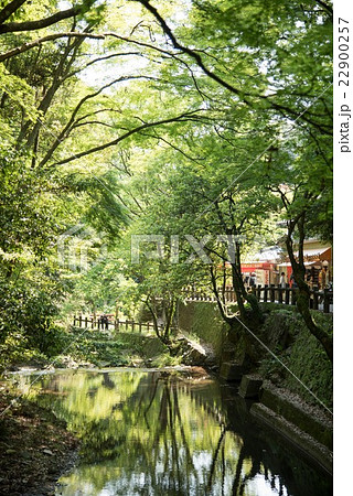 箕面の滝道 22900257