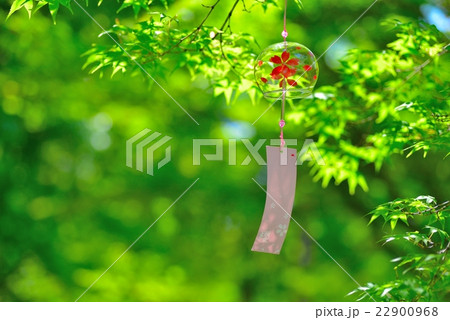 夏の風物詩　風鈴 22900968