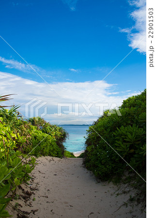 沖縄県　宮古島の砂山ビーチ 22901503