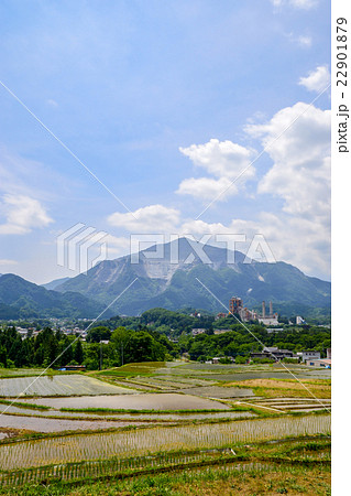 武甲山と寺坂棚田 22901879