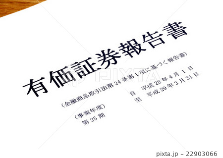 有価証券報告書 22903066