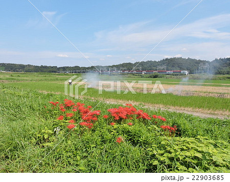 秋の鉄道風景（モノサク） 22903685
