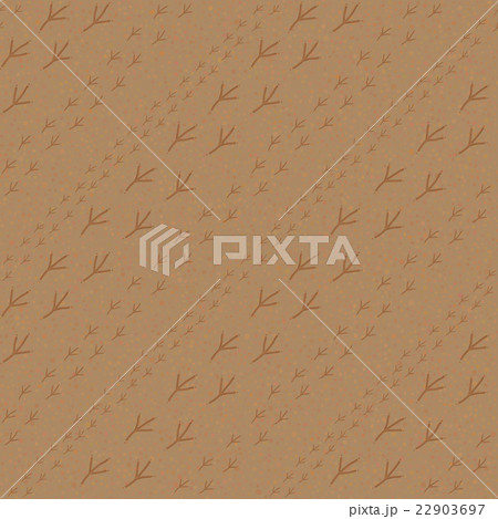 Bird footprints Sandy background Seamless pattern. 22903697
