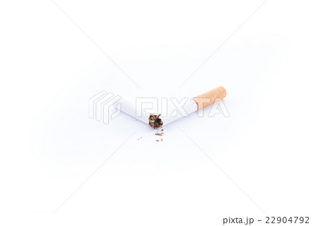 World No Tobacco Day,broken cigarette on a white World No Tobacco Day,broken cigarette on a white 22904792
