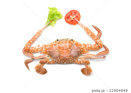 Crabs with tomatoes and vegetables 22904849