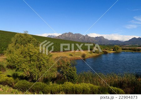 Stellenbosch 22904873