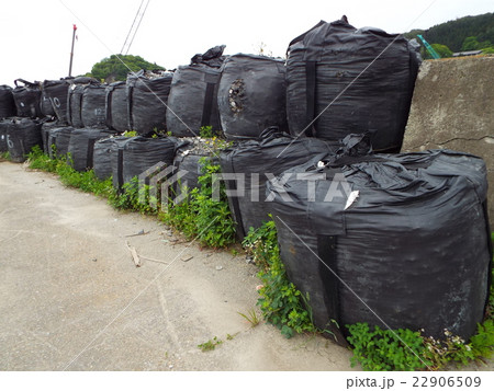 大型土のうによる仮設堤防が老朽化 大型土のうによる仮設堤防が老朽化 22906509