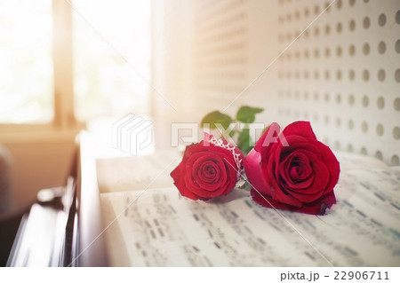 rose on piano. 22906711