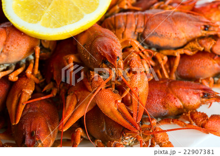 Cryfishes Cryfishes 22907381