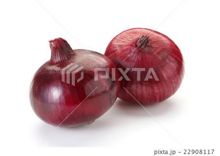 レッドオニオン 22908117