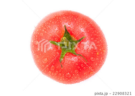 トマト 22908321