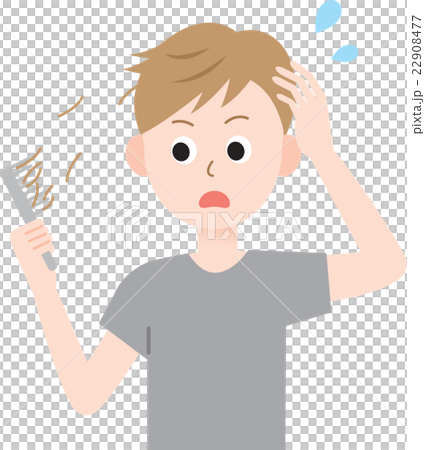 Hair loss male comb 22908477