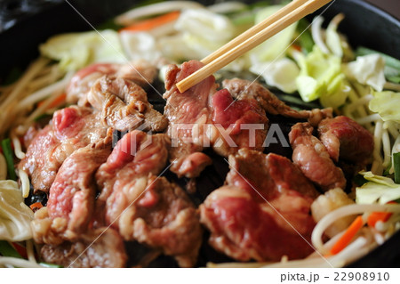 ジンギスカン 22908910