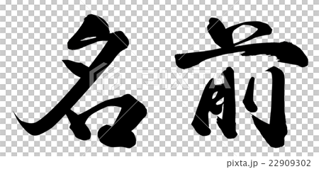 名前 22909302