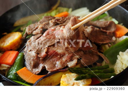 ジンギスカン 22909360