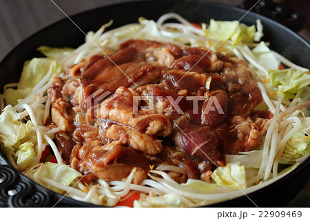 ジンギスカン 22909469