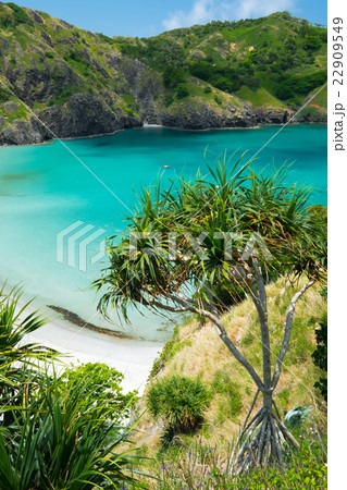 小笠原諸島 父島 小港海岸 小笠原諸島 父島 小港海岸 22909549