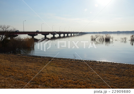 行方市側から見た「霞ヶ浦大橋」(茨城県行方市玉造甲) 行方市側から見た「霞ヶ浦大橋」(茨城県行方市玉造甲) 22909880