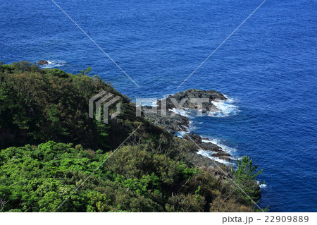 屋久島 谷崎鼻 屋久島 谷崎鼻 22909889