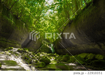渓谷と新緑（愛媛県滑川渓谷　龍の腹） 22910351