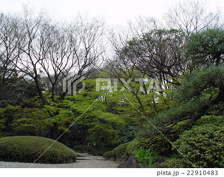 名主の滝公園（東京都北区岸町1丁目） 22910483