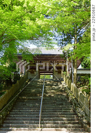 金剛證寺の仁王門 22910687