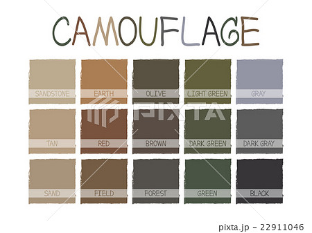 Camouflage Color Tone Camouflage Color Tone 22911046