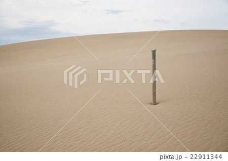 砂漠 22911344