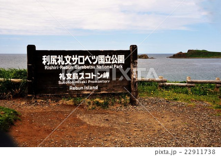 利尻礼文ツア-行 利尻礼文ツア-行 22911738