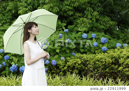 傘をさす白いワンピースの女性 紫陽花 梅雨 の写真素材