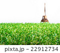 Grass with blurry background of Eiffel tower paper 22912734