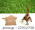 Grass with blurry foreground of Eiffel tower paper 22912736