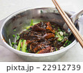 Close-up of noodle with roast duck in bowl 22912739