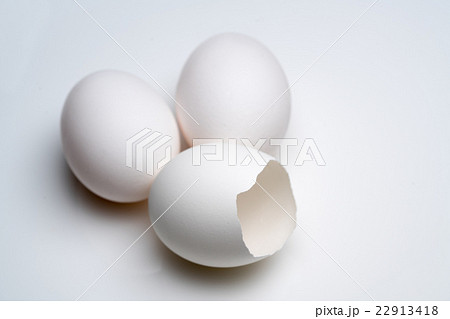 タマゴ 22913418