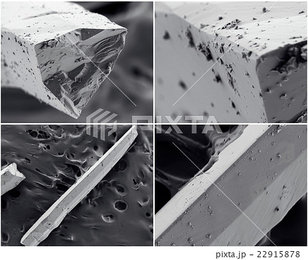 Scientific collage. Photo from electron microscope Scientific collage. Photo from electron microscope 22915878