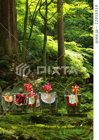 緑の中の千躰地蔵さん 緑の中の千躰地蔵さん 22916314