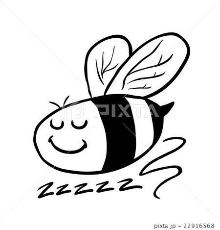black and white bee black and white bee 22916568