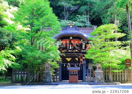 白旗神社（鶴岡八幡宮境内） 22917209