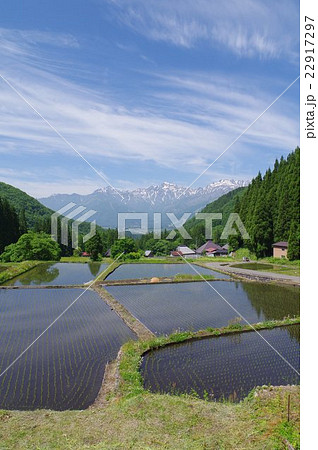 信州　白馬村　青鬼（あおに）集落の春　伝統的建造物群保存地区　棚田のある山間の小集落 22917297