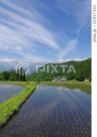 信州 白馬村 青鬼(あおに)集落の春 伝統的建造物群保存地区 棚田のある山間の小集落 信州 白馬村 青鬼(あおに)集落の春 伝統的建造物群保存地区 棚田のある山間の小集落 22917301